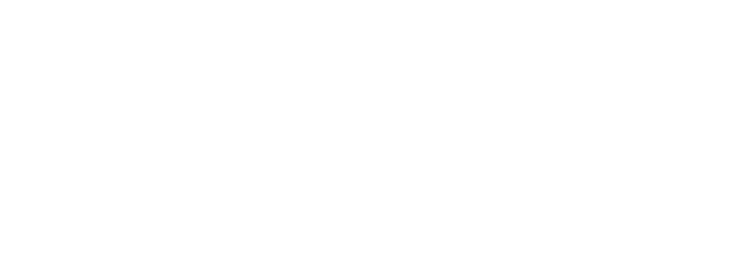 logo-gemini-blanco